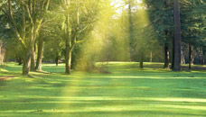 Graumlich and Son Funeral Home